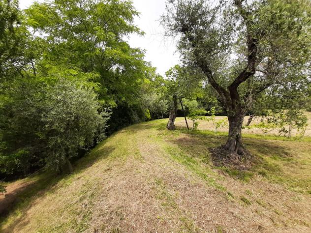 Terreno Agricolo - Roè Volciano . Rif.: 001 TA Trobiolo - Foto 11
