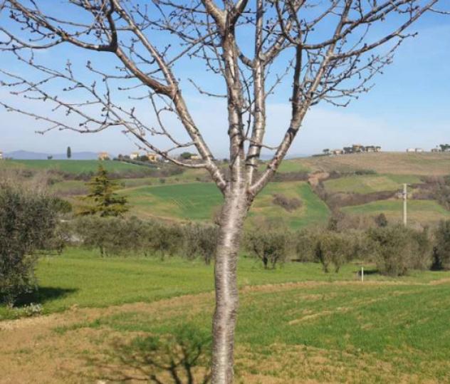 Immobile in asta di 113 m² in vendita a Marsciano - Foto 10
