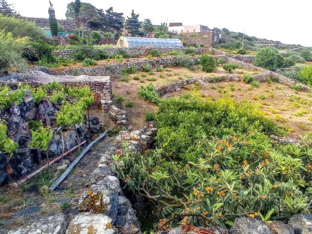 Altro in vendita a Pantelleria - Foto 14