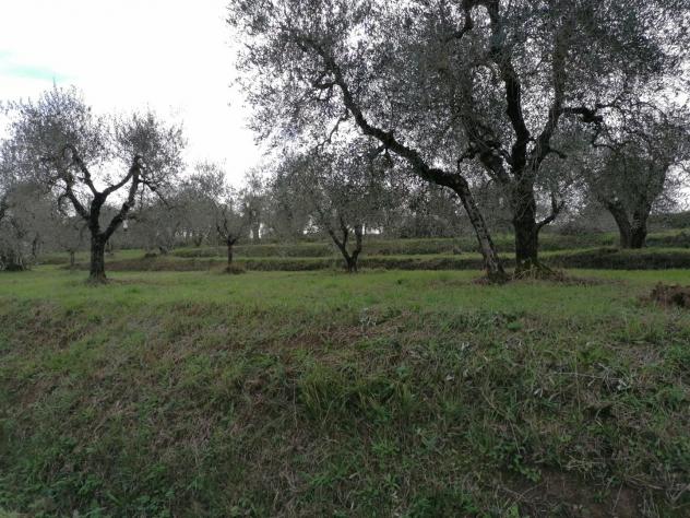 Terreno agricolo in vendita a Orceto - Casciana Terme Lari 3975 mq Rif: 1223667 - Foto 2