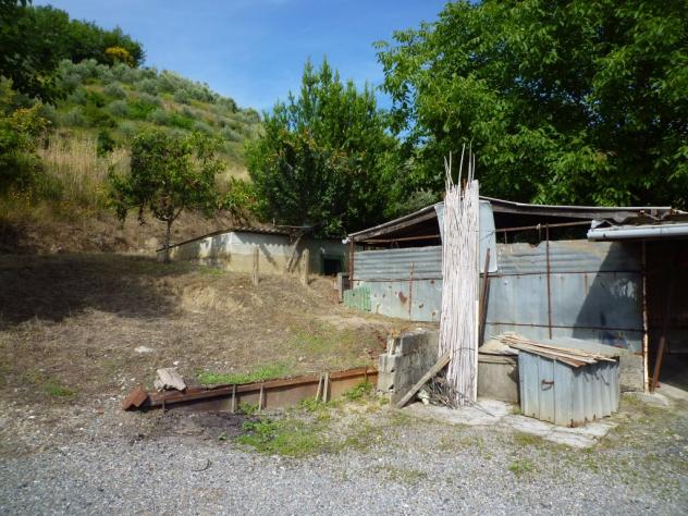 Terreno agricolo in vendita a Chiecinella - Palaia 9000 mq Rif: 455004 - Foto 10