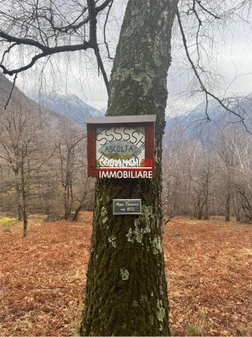 V000761 - ALPE SCIASCO , STALLA IN PIETRA DA RISTRUTTURARE - Foto 2