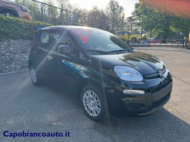 FIAT Panda 1.0 FireFly S&S Hybrid ICON KM0 PROMO rif. 23531843 - Foto 2