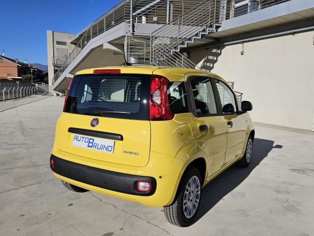FIAT Pandina Pandina 1.0 firefly hybrid Pop s&s 65cv con BONUS EASY GO' - Foto 5