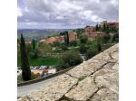 Il Borgo Alberato