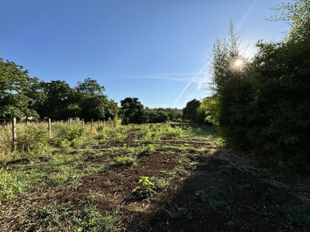 Agricolo in Via Val Pantano Prima - Foto 9