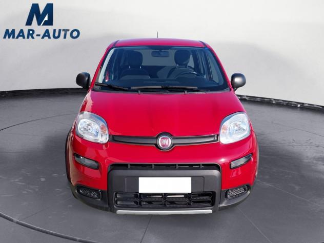 FIAT Panda Panda 1.0 firefly hybrid s&s 70cv - Foto 5