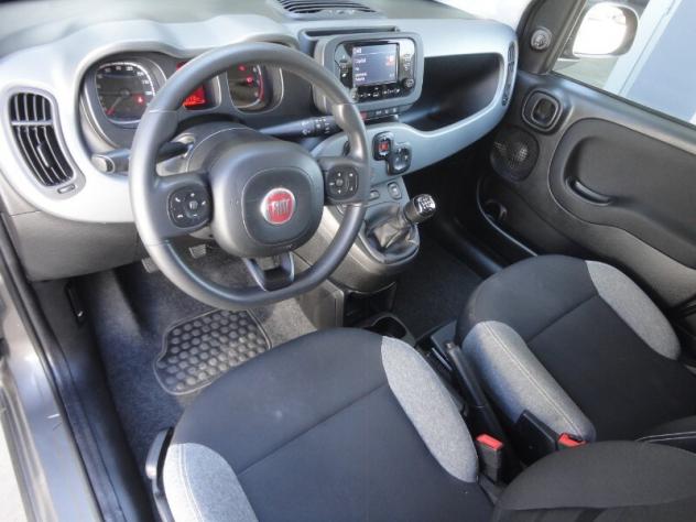 FIAT Panda 3ª serie Panda 1.0 FireFly S&S Hybrid City Life - Foto 8