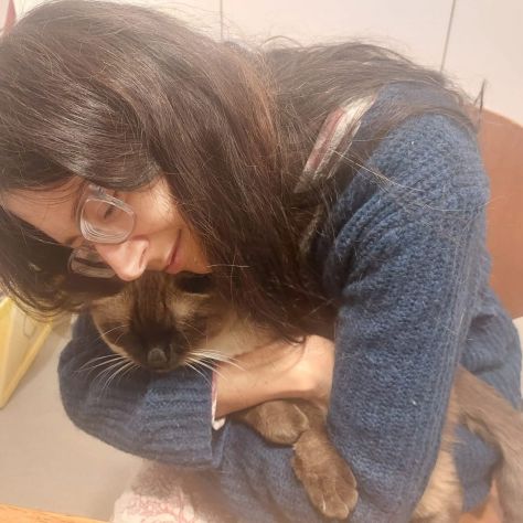 catsitter