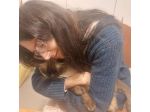 catsitter