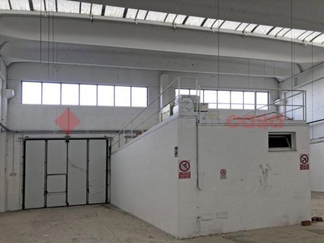 Immobile di 835 m² con 4 locali in vendita a Trecate - Foto 5