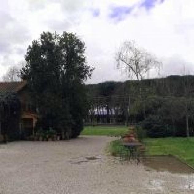 Az. Agr. Il Bottaccino di Bruno Riccardo Maria - Foto 3