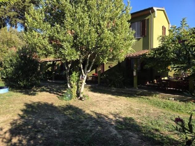 Appartamento in vendita a Montescudaio 40 mq Rif: 1447296 - Foto 3