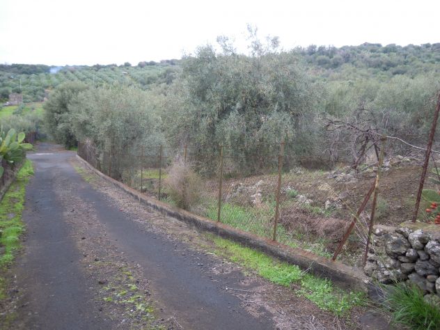 CODICE 6806 TERRENO AGRICOLO 8.600 MQ A BELPASSO POSS. ACQUA E LUCE - Foto 4