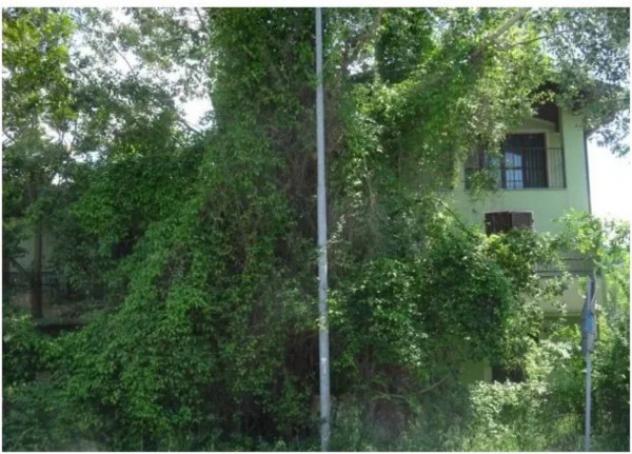 Immobile in asta di 60 m², box auto in vendita a Santa Giuletta - Foto 4