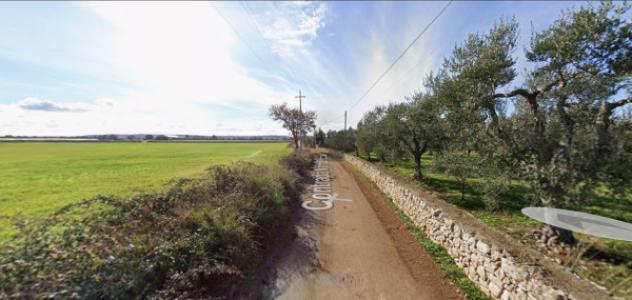 Immobile in asta di 2000 m² con più di 5 locali in vendita a Sammichele di Bari - Foto 3
