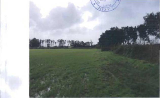 Immobile in asta di 88446 m² in vendita a Terracina - Foto 6