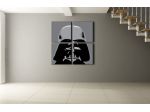 Quadro moderno Star Wars dipinto a mano pop art