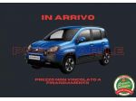 FIAT New Panda 1.0 PANDINA CROSS HYBRID rif. 24039462