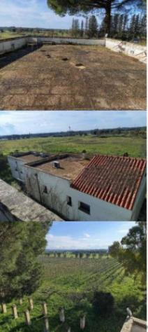 Immobile in asta di 281 m² in vendita a Campi Salentina - Foto 7