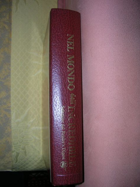 NEL MONDO DELL'INCREDIBILE - Foto 2
