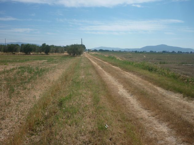 Terreno agricolo alla Rugginosina - GROSSETO-