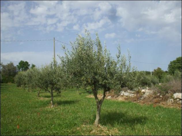 Agricolo in vendita a Palazzolo Acreide - Foto 7