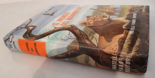 IL MONDO DEI MAMMIFERI, MAURICE BURTON, FRATELLI FABBRI EDITORI 1963. - Foto 5