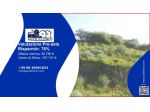 Immobile in asta di 65652 m² in vendita a Carlentini