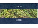 Immobile in asta di 3490 m² in vendita a Cori