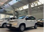 FIAT Panda Panda III 2021 1.0 firefly hybrid s PROMO48 rif. 23817406