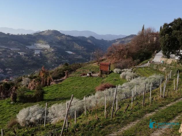 Vallebona VENDESI RUSTICO - Foto 18