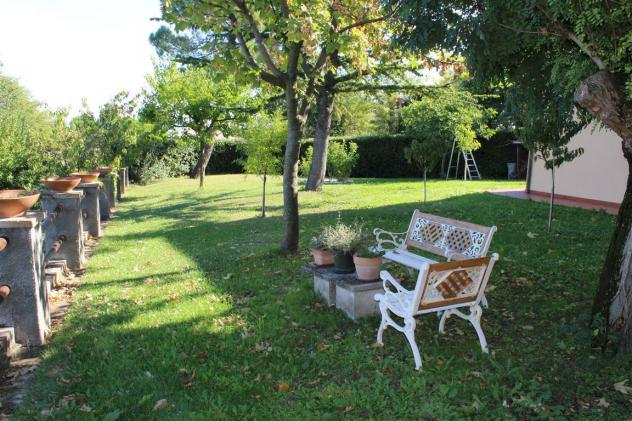 Casolare ristrutturato con vista panoramica, uliveto e garage – Un’oasi di pace tra colline e mare - Foto 3