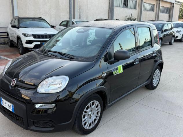 FIAT Panda NEW 1.0 70cv Hybrid PANDA - Foto 9