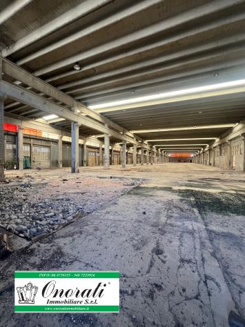 MQ 16.500 ORTE (VT), Rif. V-644. - Foto 2
