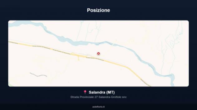 Immobile in asta di 45234 m² in vendita a Salandra - Foto 9