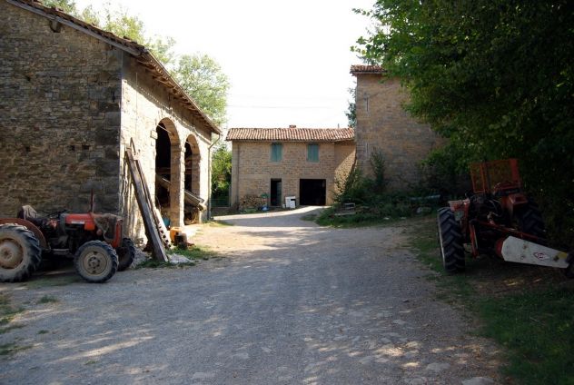 RUSTICO E TERRENI A SCURANO (PR)