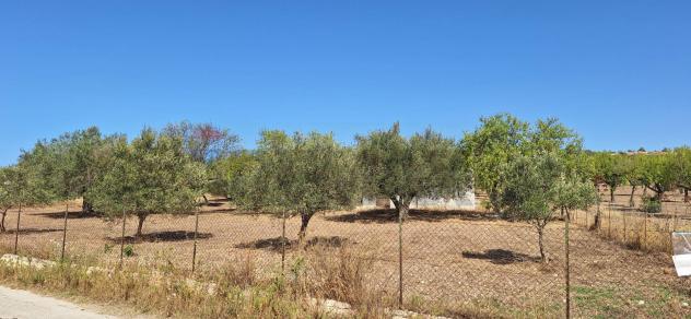 Terreno in vendita a Noto - Foto 4