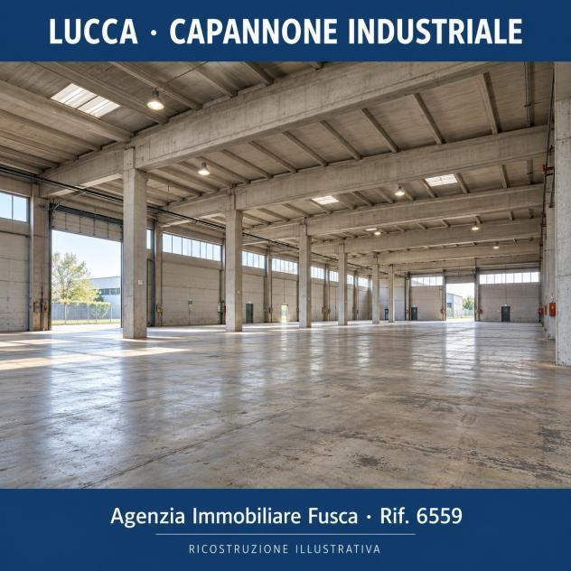 Industriale/Artigianale in vendita a Lucca - Foto 4