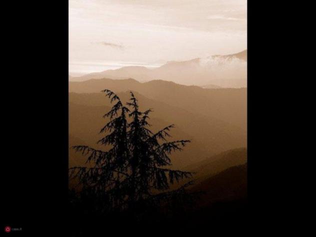 Rustico - Foto 8