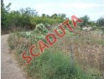 Immobile in asta di 11 m² in vendita a Carpino