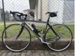 vendo bicicletta