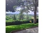 Giarvino