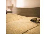 Sava Bed And Breakfast