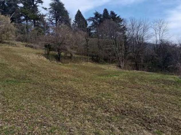 564/2022 2 BS - terreno in asta a Borno - Foto 8
