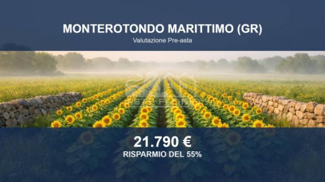 Immobile in asta di 72094 m² in vendita a Monterotondo Marittimo
