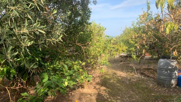 Terreno Agricolo in vendita a Santa Flavia - Foto 4