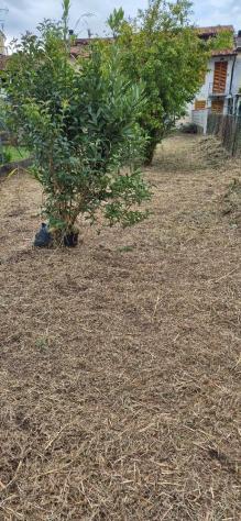 Terratetto in vendita a Gello - San Giuliano Terme 110 mq Rif: 1399634 - Foto 3