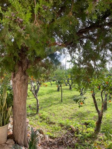 Villa o villino in vendita a Scicli, Donnalucata - Foto 6