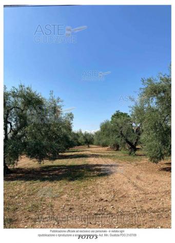 IMMOBILI-ALTRA CATEGORIA-Contrada Chiascia San Barbato - Foto 5